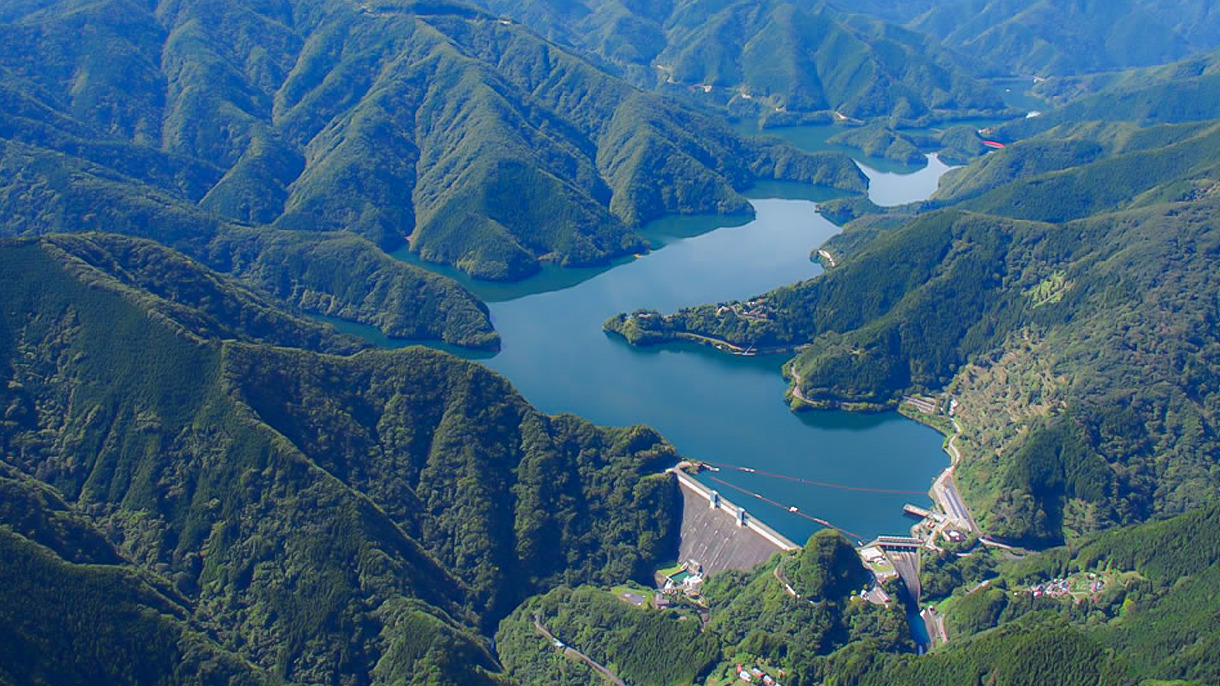 小河内ダムと水道水源林の写真