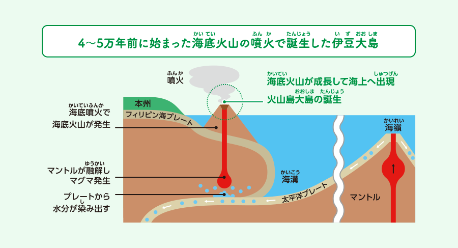 伊豆大島誕生のイラスト