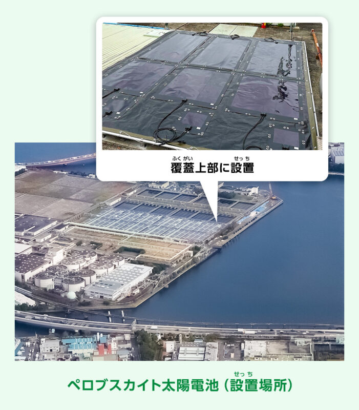 ペロブスカイト太陽電池の写真