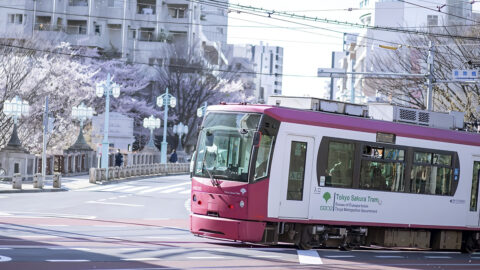 東京都を支える仕事❷ 東京さくらトラム（都電荒川線）の運転手の仕事に迫る！