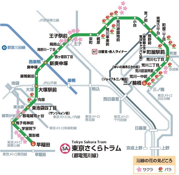 東京都を支える仕事❷ 東京さくらトラム（都電荒川線）の運転手の仕事に迫る！都電荒川線の路線図