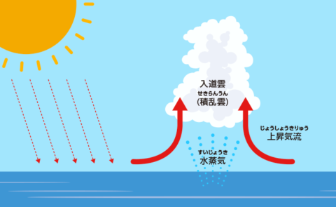 台風の目の中はどうなっている？ “台風の不思議”を徹底検証！