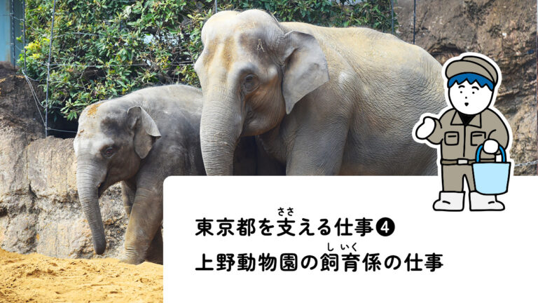 上野動物園記事のメイン画像