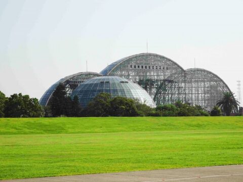 現在の夢の島公園。かつてはごみの島と呼ばれていたが、緑豊かな美しい公園に生まれ変わった