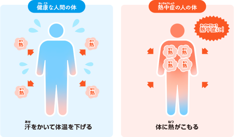 教えて先生! 熱中症予防のためにできること