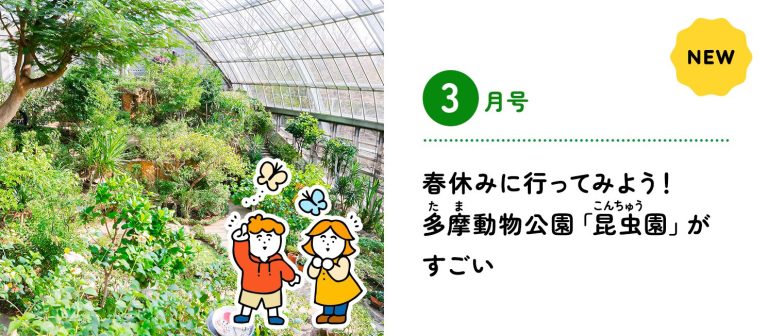 2025年3月号サブ記事のMV画像