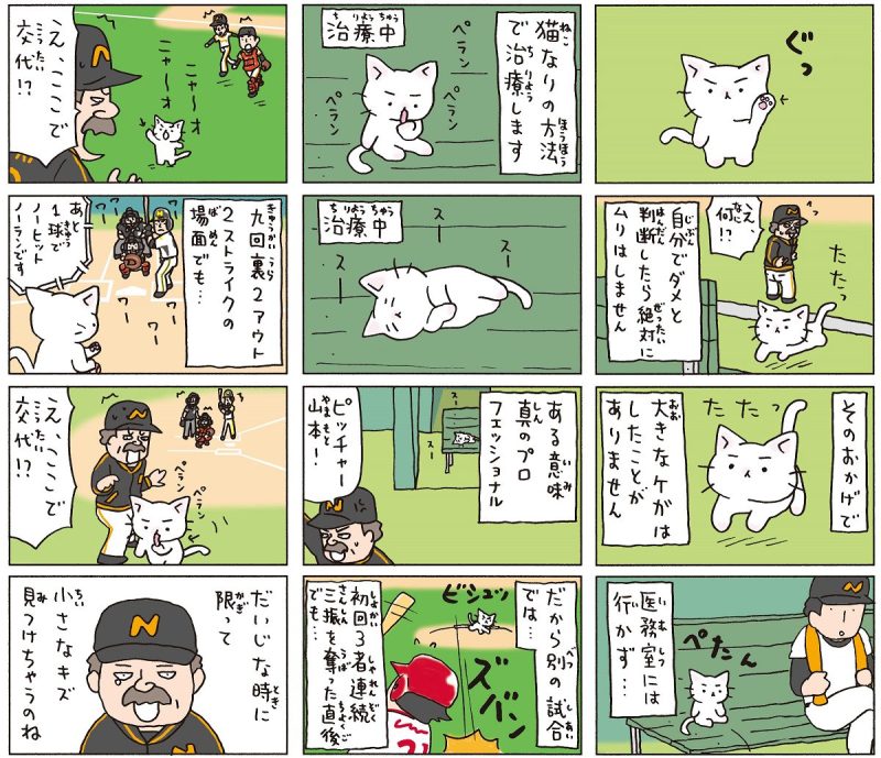 猫ピッチャーのミー太郎は、ねこなりに気をつかう