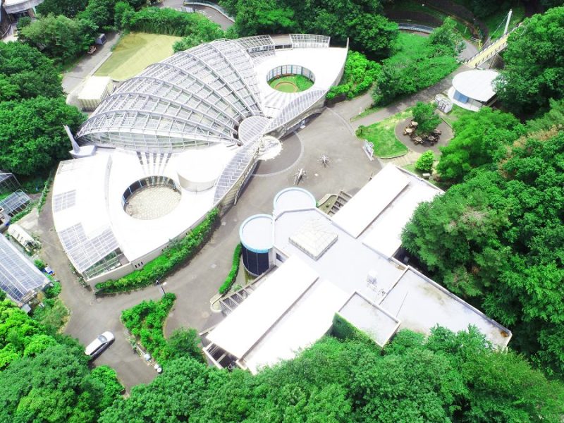 多摩動物公園の昆虫園の空撮
