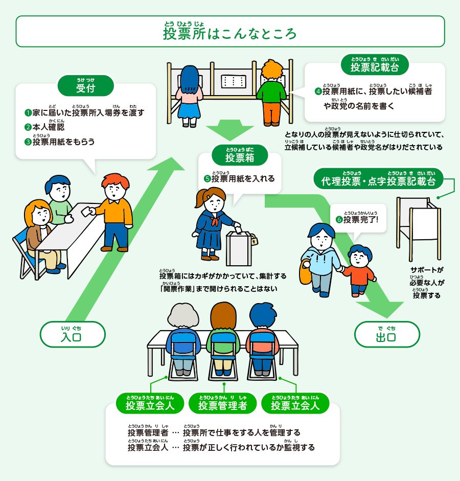 参院 選 投票 の 仕方