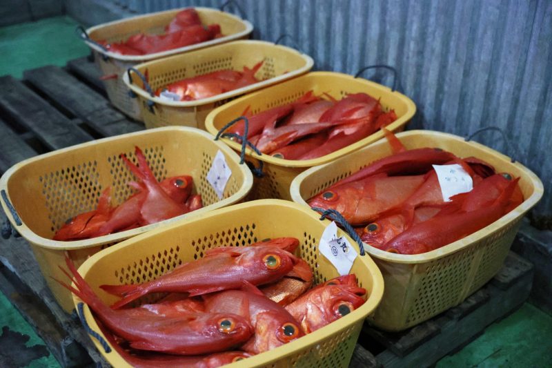 キンメダイの写真