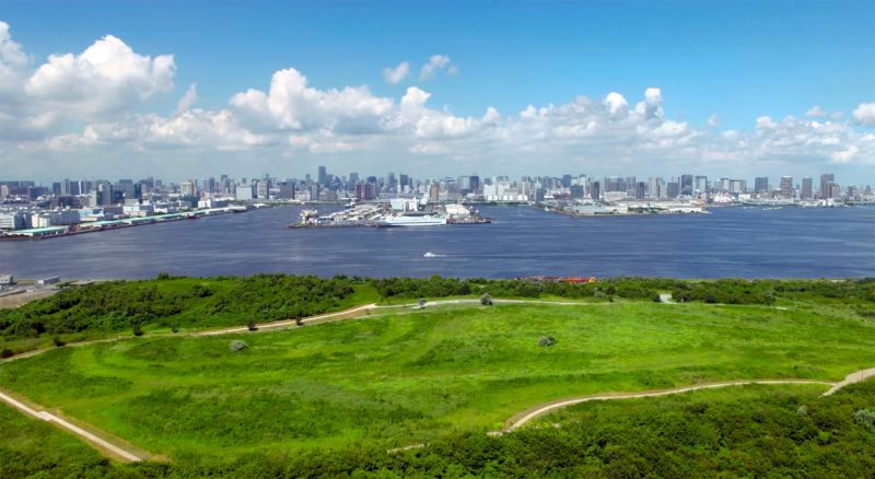 海の森公園の写真